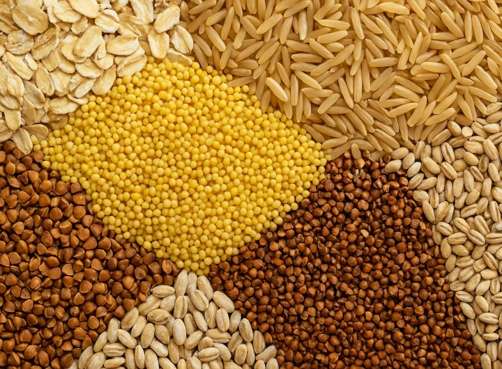 Najzdravije Žitarice – Potpuni Vodič za Zdravlje, Energiju i Dugovječnost