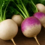 Repa (Brassica rapa var. rapa): Sorte, Uzgoj i Sve Što Trebate Znati o Jednom od Najstarijih Europskih Povrća