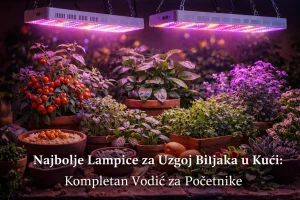 Najbolje Lampice za Uzgoj Biljaka u Kući: Kompletan Vodič za Početnike