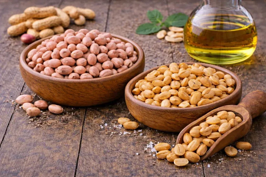 Sirovi i Pečeni Kikiriki – Svestrani Orašasti Plod Bez Aditiva