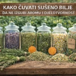 Kako Čuvati Sušeno Bilje da Ne Izgubi Aromu i Djelotvornost