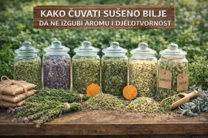 Kako Čuvati Sušeno Bilje da Ne Izgubi Aromu i Djelotvornost