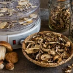 Sušenje i Čuvanje Gljiva – Produženje Sezone