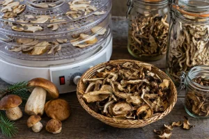 Sušenje i Čuvanje Gljiva – Produženje Sezone