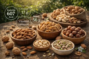 Kalorije i Nutritivna Vrijednost Orašastih Plodova