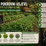 Zeleni Pokrovni Usjevi: Kako Zaštititi Tlo Izvan Sezone